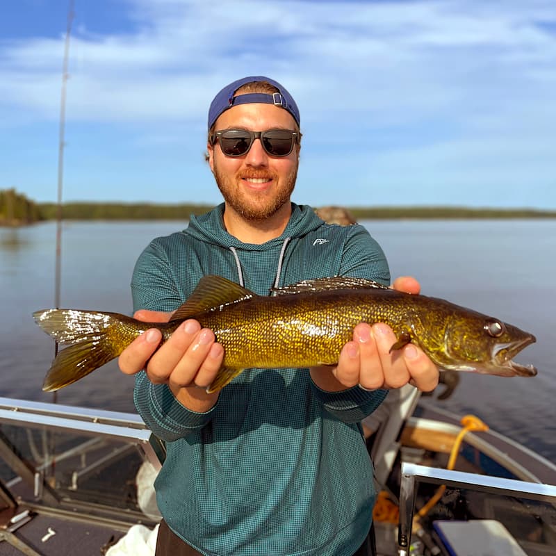 profile picture of company founder, David Smith